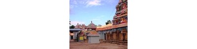 141. திருப்பயற்றூர்